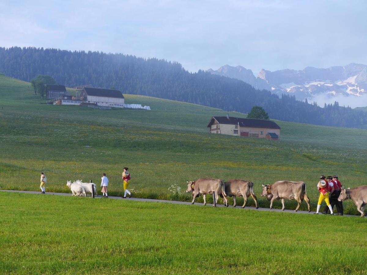 Bed and Breakfast Gaestehaus Aemisegg Sankt Peterzell Exterior foto